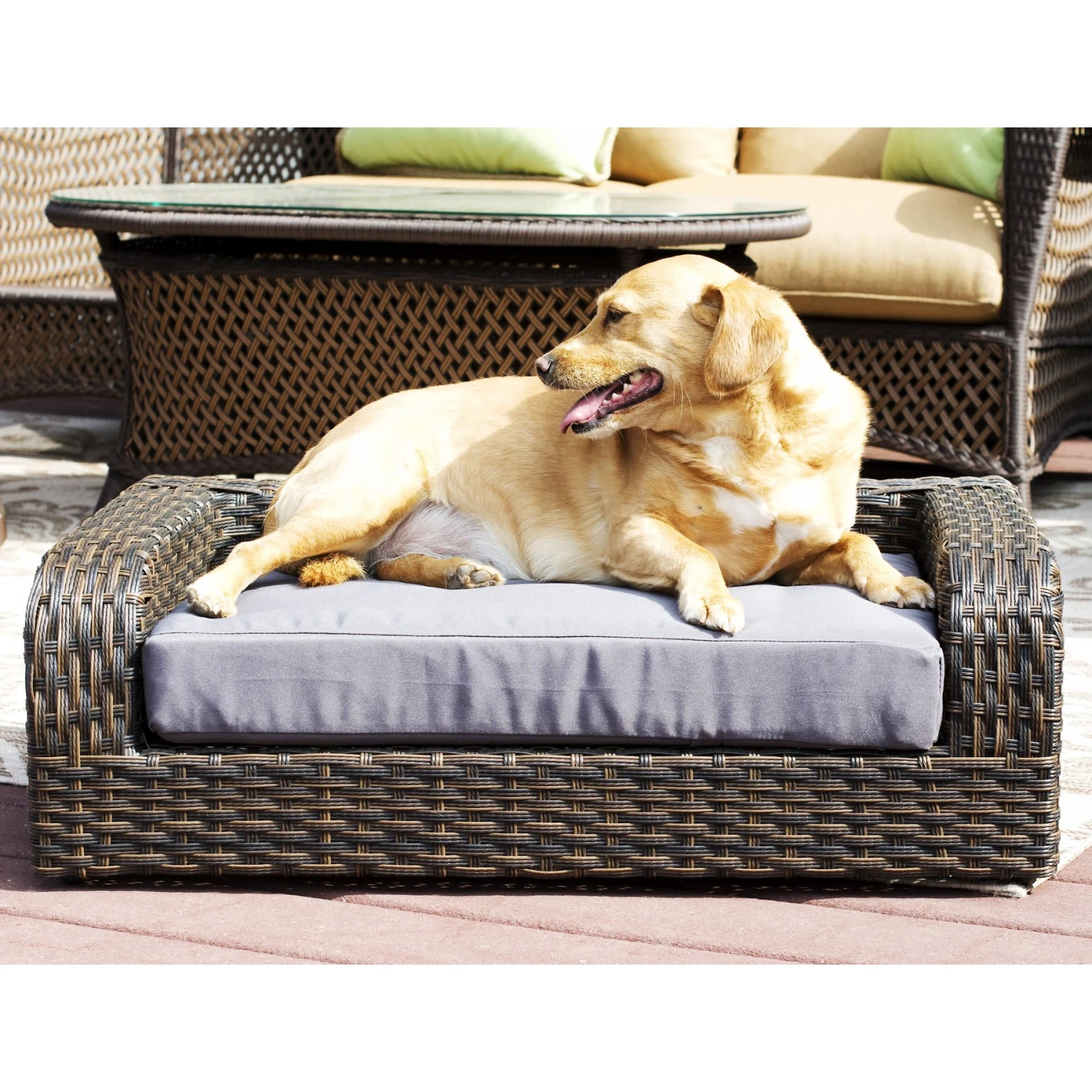 Iconic Pet Rattan Sofa Cat & Dog Bed With Removable Cover, Caramel & Mocha 3 Iconic Pet Rattan Sofa Cat & Dog Bed With Removable Cover, Caramel & Mocha