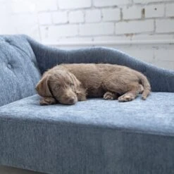 La-Z-Boy Chaise Furniture Sofa Dog Bed -Pet Dog Supply Store 192829 PT4. AC SS1800 V1597880835