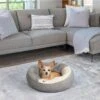 Best Friends By Sheri Cozy Cuddler Covered Cat & Dog Bed 1 Best Friends By Sheri Cozy Cuddler Covered Cat & Dog Bed -Pet Dog Supply Store 193285 MAIN. AC SS1800 V1696443432