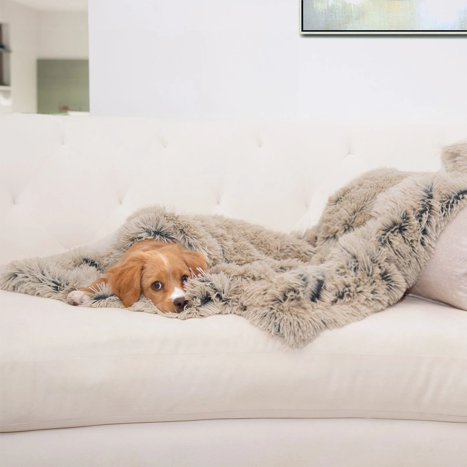 Best Friends By Sheri Throw Shag Dog & Cat Blanket 3 Best Friends By Sheri Throw Shag Dog & Cat Blanket