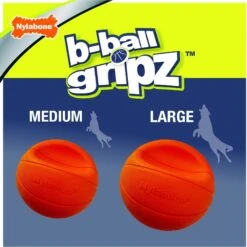 Nylabone Power Play Basketball B-Ball Gripz Dog Toy -Pet Dog Supply Store 195434 PT3. AC SS1800 V1685646679