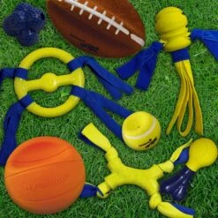 Nylabone Power Play Basketball B-Ball Gripz Dog Toy -Pet Dog Supply Store 195434 PT5. AC SS1800 V1685647141