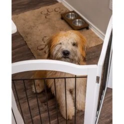 Internet's Best Arched Top Wire Dog Gate, 30-in -Pet Dog Supply Store 200429 PT4. AC SS1800 V1568308059
