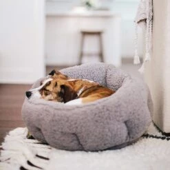 Best Friends By Sheri Sherpa Deep Dish Bolster Cat & Dog Bed W/Blanket & Plush Bone 13 Best Friends By Sheri Sherpa Deep Dish Bolster Cat & Dog Bed W/Blanket & Plush Bone -Pet Dog Supply Store 201952 pt5. AC SS1800 V1569264198