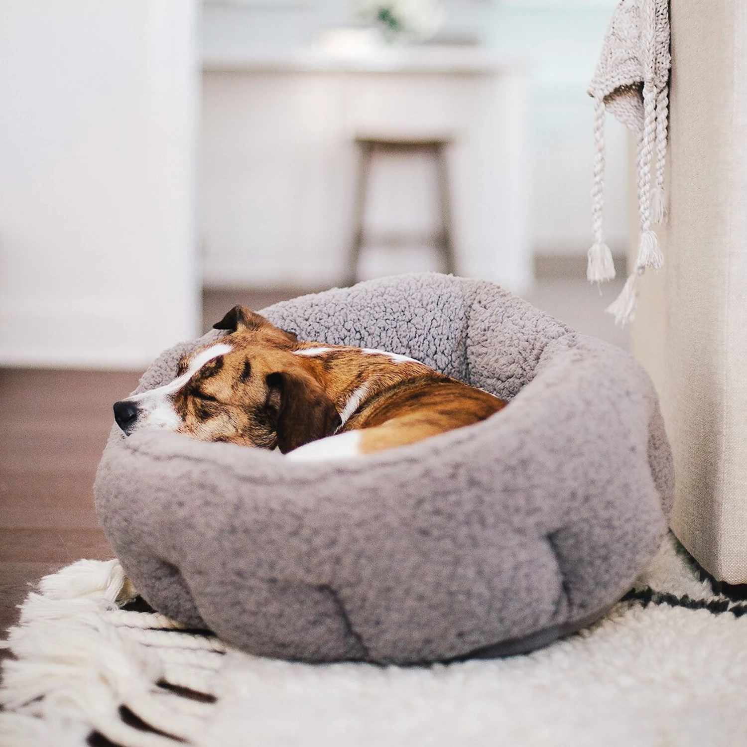 Best Friends By Sheri Sherpa Deep Dish Bolster Cat & Dog Bed W/Blanket & Plush Bone 8 Best Friends By Sheri Sherpa Deep Dish Bolster Cat & Dog Bed W/Blanket & Plush Bone - Image 6