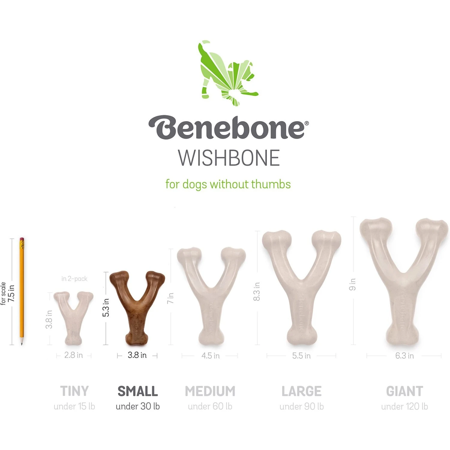 Benebone Bacon Flavor Wishbone Tough Puppy Chew Toy 8 Benebone Bacon Flavor Wishbone Tough Puppy Chew Toy - Image 6
