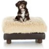 Club Nine Pets Soho Milo Sofa Cat & Dog Bed, Brown -Pet Dog Supply Store 207278 MAIN. AC SS1800 V1603914114