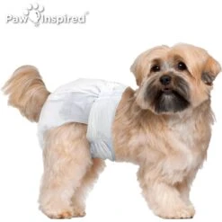Paw Inspired Ultra Protection Disposable Female Dog Diapers -Pet Dog Supply Store 208521 PT3. AC SS1800 V1613698928