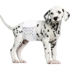 Paw Inspired Ultra Protection Disposable Belly Band Male Dog Wraps -Pet Dog Supply Store 208526 PT4. AC SS1800 V1582726979