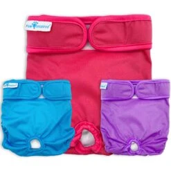 Paw Inspired Washable Female Dog Diaper