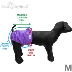 Paw Inspired Washable Female Dog Diaper -Pet Dog Supply Store 208541 PT4. AC SS1800 V1631142082