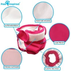 Paw Inspired Washable Female Dog Diaper -Pet Dog Supply Store 208541 PT6. AC SS1800 V1631159198