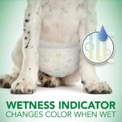 Vet's Best Comfort-Fit Disposable Female Dog Diapers 15 Vet's Best Comfort-Fit Disposable Female Dog Diapers -Pet Dog Supply Store 213071 PT5. AC SS1800 V1575652100