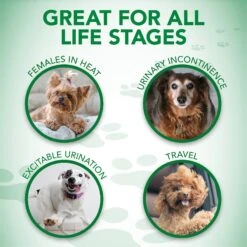 Vet's Best Comfort-Fit Disposable Female Dog Diapers 16 Vet's Best Comfort-Fit Disposable Female Dog Diapers -Pet Dog Supply Store 213071 PT6. AC SS1800 V1575652103