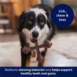 Frisco Bacon Flavor Tough Nylon Dog Chew Toy -Pet Dog Supply Store 213430 PT5. AC SS1800 V1691783968