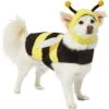 Frisco Bumble Bee Dog & Cat Costume 1 Frisco Bumble Bee Dog & Cat Costume -Pet Dog Supply Store 215492 MAIN. AC SS1800 V1624542927