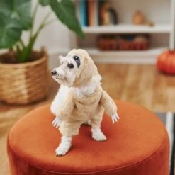 Frisco Front Walking Sloth Dog & Cat Costume -Pet Dog Supply Store 215539 PT8. AC SS1800 V1599141353