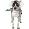 Frisco Front Walking Koala Dog & Cat Costume -Pet Dog Supply Store 215546 MAIN. AC SS1800 V1595980873