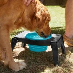 Frisco Elevated Collapsible Travel Bowl -Pet Dog Supply Store 216013 PT7. AC SS1800 V1605653830