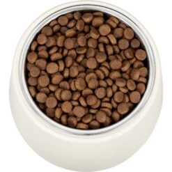 Frisco Slanted Stainless Steel Bowl -Pet Dog Supply Store 216028 PT4. AC SS1800 V1591020437