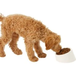 Frisco Slanted Stainless Steel Bowl -Pet Dog Supply Store 216028 PT6. AC SS1800 V1605666119