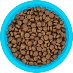 Frisco Plastic Suction Bowl, Blue -Pet Dog Supply Store 216037 PT4. AC SS1800 V1591020655