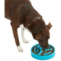 Frisco Bone Shaped Ridges Slow Feed Bowl -Pet Dog Supply Store 216041 PT6. AC SS1800 V1605664049