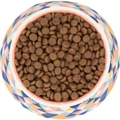 Frisco Colorful Geometric Melamine Bowl 13 Frisco Colorful Geometric Melamine Bowl -Pet Dog Supply Store 216054 PT4. AC SS1800 V1591020757