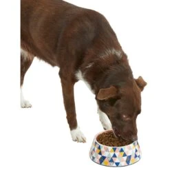 Frisco Colorful Geometric Melamine Bowl 14 Frisco Colorful Geometric Melamine Bowl -Pet Dog Supply Store 216054 PT6. AC SS1800 V1605658026