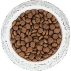 Frisco Chevron Brushed Melamine Bowl -Pet Dog Supply Store 216059 PT4. AC SS1800 V1591020962
