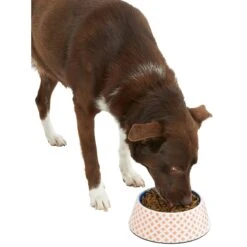 Frisco Southwest Melamine Bowl 14 Frisco Southwest Melamine Bowl -Pet Dog Supply Store 216064 PT6. AC SS1800 V1605652321