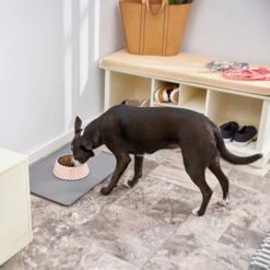 Frisco Southwest Melamine Bowl 15 Frisco Southwest Melamine Bowl -Pet Dog Supply Store 216064 PT7. AC SS1800 V1605653262