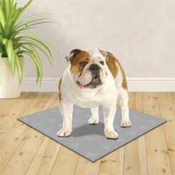 Wee-Wee Premium Patch Washable Dog Pee Pad -Pet Dog Supply Store 216078 PT3. AC SS1800 V1578325725