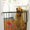 Cardinal Gates Duragate Dog Gate -Pet Dog Supply Store 217333 MAIN. AC SS1800 V1580827996