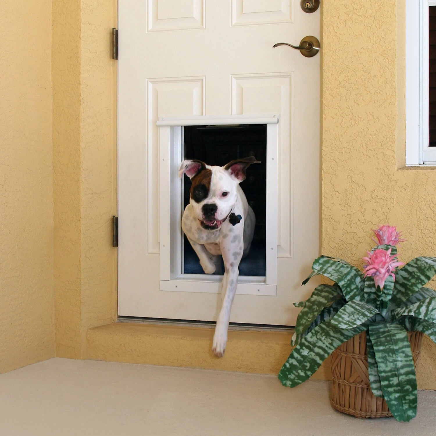PlexiDor Performance Pet Doors Electronic Automatic Wall Mounted Dog & Cat Door, Large 4 PlexiDor Performance Pet Doors Electronic Automatic Wall Mounted Dog & Cat Door, Large - Image 2