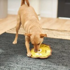 STAR WARS C-3PO Flat Plush Squeaky Dog Toy -Pet Dog Supply Store 220603 PT3. AC SS1800 V1615586253