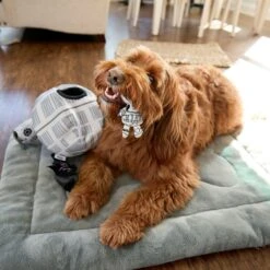 STAR WARS DEATH STAR Hide & Seek Puzzle Plush Squeaky Dog Toy 9 STAR WARS DEATH STAR Hide & Seek Puzzle Plush Squeaky Dog Toy -Pet Dog Supply Store 220665 PT3. AC SS1800 V1682541054