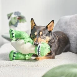 Pixar Rex Plush Squeaky Dog Toy -Pet Dog Supply Store 220870 PT3. AC SS1800 V1624648422