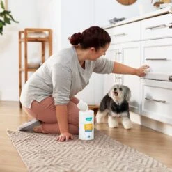 Frisco Vinegar Cleaning Wipes, 70 Count -Pet Dog Supply Store 222151 PT4. AC SS1800 V1602847932