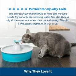 PetSafe Drinkwell Butterfly Dog & Cat Drinking Fountain, 50-oz -Pet Dog Supply Store 222223 PT5. AC SS1800 V1676398887