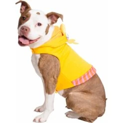 Pet Krewe Big Bird Dog & Cat Costume -Pet Dog Supply Store 223177 PT6. AC SS1800 V1599263770