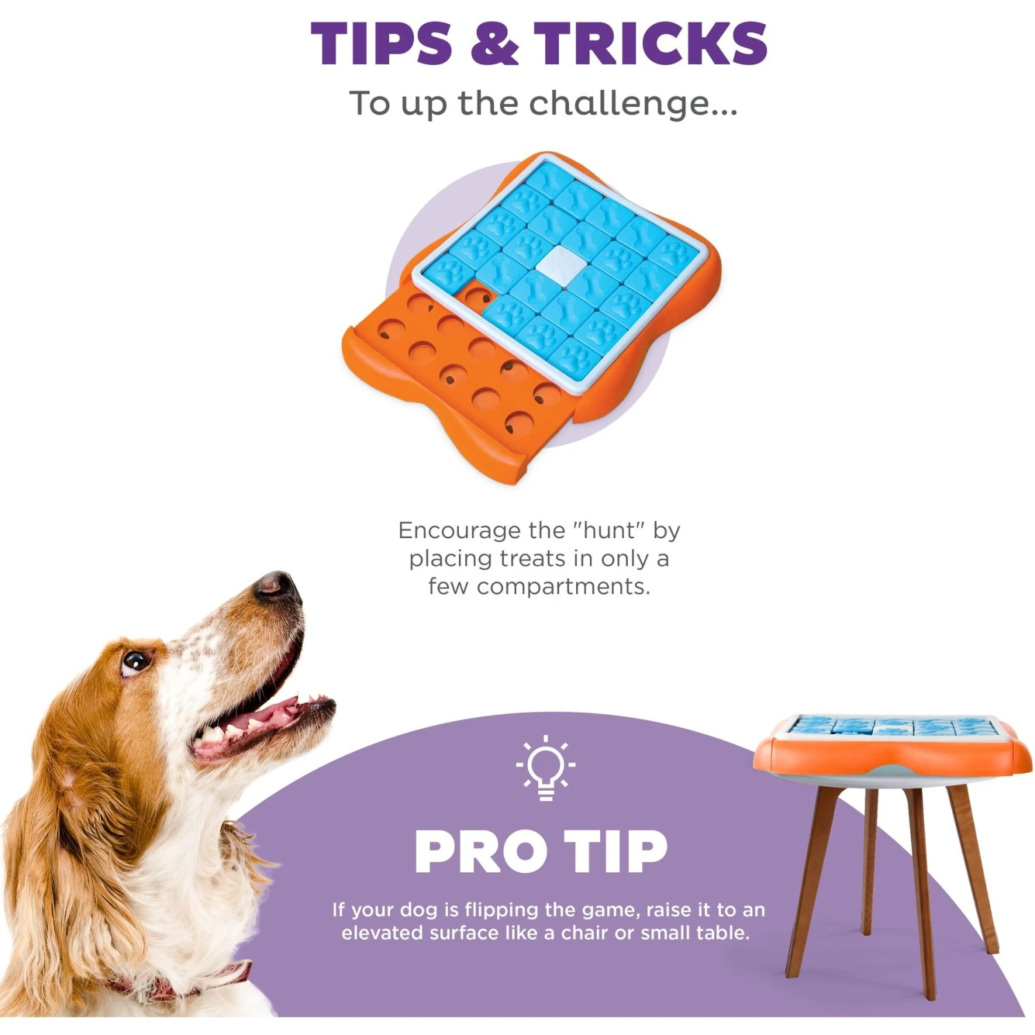 Nina Ottosson By Outward Hound Challenge Slider Dog Toy 6 Nina Ottosson By Outward Hound Challenge Slider Dog Toy - Image 4