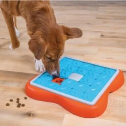 Nina Ottosson By Outward Hound Challenge Slider Dog Toy 14 Nina Ottosson By Outward Hound Challenge Slider Dog Toy -Pet Dog Supply Store 226716 PT4. AC SS1800 V1694286042