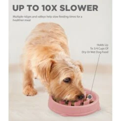 Outward Hound Non-Skid Plastic Slow Feeder Wave Dog Bowl 13 Outward Hound Non-Skid Plastic Slow Feeder Wave Dog Bowl -Pet Dog Supply Store 226749 PT2. AC SS1800 V1694286101