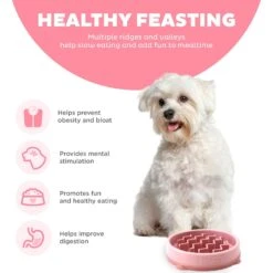 Outward Hound Non-Skid Plastic Slow Feeder Wave Dog Bowl 14 Outward Hound Non-Skid Plastic Slow Feeder Wave Dog Bowl -Pet Dog Supply Store 226749 PT3. AC SS1800 V1694439616