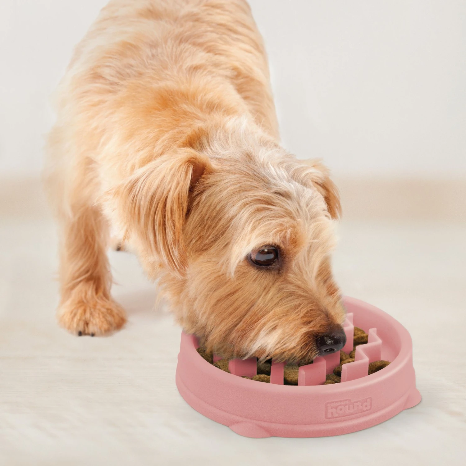 Outward Hound Non-Skid Plastic Slow Feeder Wave Dog Bowl 8 Outward Hound Non-Skid Plastic Slow Feeder Wave Dog Bowl - Image 6