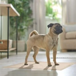 Frisco Large Eco-Conscious Dog Training & Potty Pads 17 Frisco Large Eco-Conscious Dog Training & Potty Pads -Pet Dog Supply Store 227438 PT6. AC SS1800 V1674665619