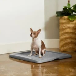 Frisco Training Pad Holder -Pet Dog Supply Store 227474 PT6. AC SS1800 V1604701643