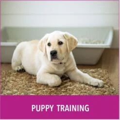 Puppy Go Potty Natural Paper Fiber Dog Litter -Pet Dog Supply Store 227546 PT4. AC SS1800 V1597158666