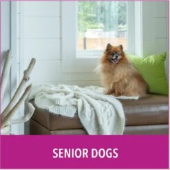 Puppy Go Potty Natural Paper Fiber Dog Litter -Pet Dog Supply Store 227546 PT5. AC SS1800 V1597158657